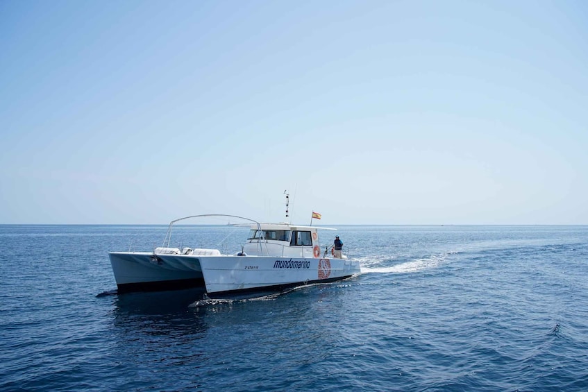 Picture 1 for Activity Calpe: Boat Tour with Optional Swim Stop