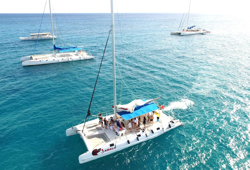 All-Inclusive Saona Island Tour by Speedboat & Catamaran
