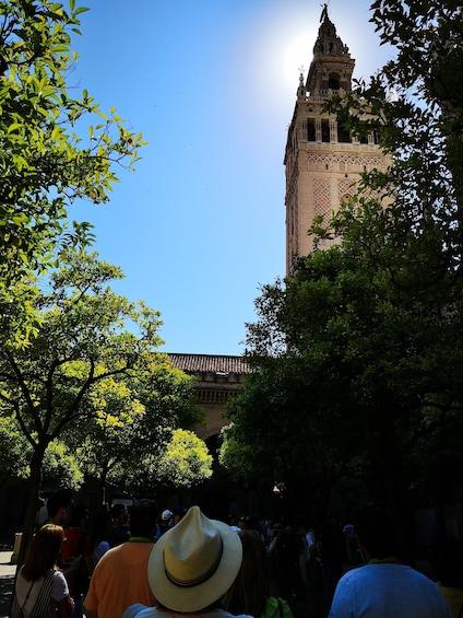 Alcazar and Cathedral of Seville Tour (including tickets)