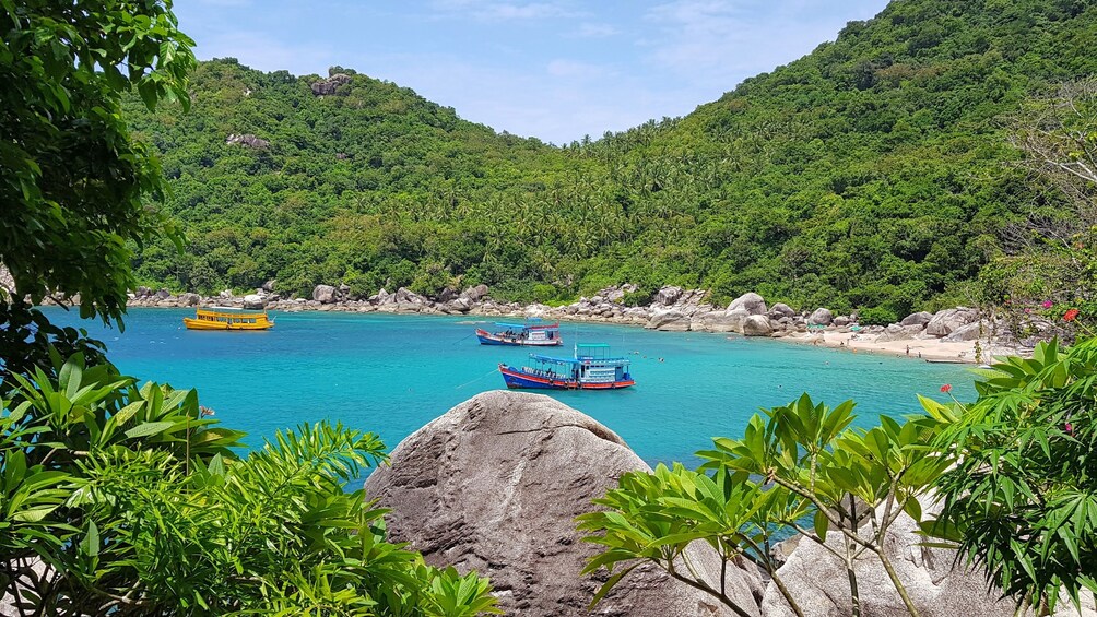 5 Islands Day Trip around Koh Tao and Koh Nangyuan