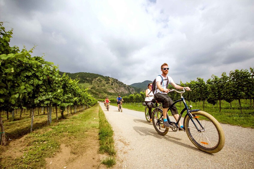 Picture 4 for Activity Grape Grazing: Wachau Valley Winery Biking Tour