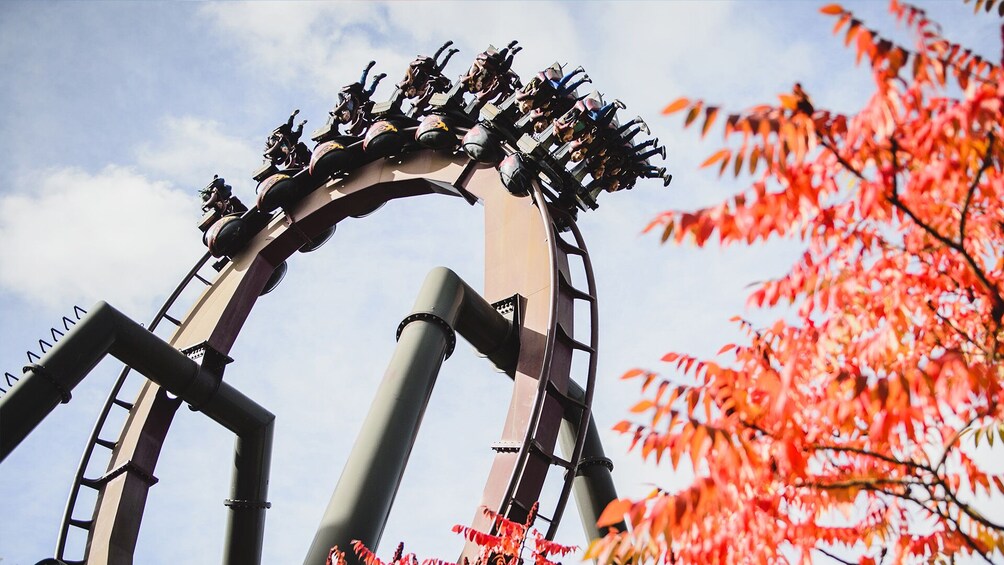 THORPE PARK Resort Tickets