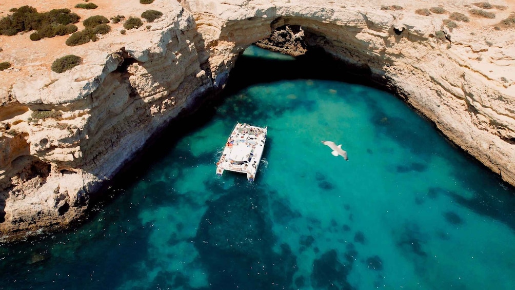 Picture 5 for Activity Albufeira: Caves and Coastline Catamaran Cruise to Benagil