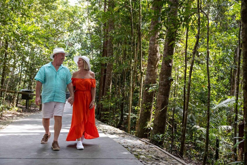 Picture 10 for Activity From Port Douglas: Kuranda via Scenic Rail or Skyrail Option
