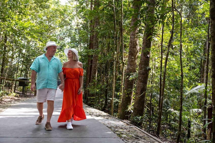 Picture 10 for Activity From Port Douglas: Kuranda via Scenic Rail or Skyrail Option