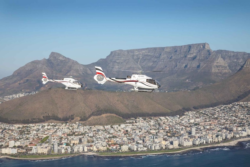 Picture 5 for Activity Cape Town: 12-Minute Scenic Helicopter Tour