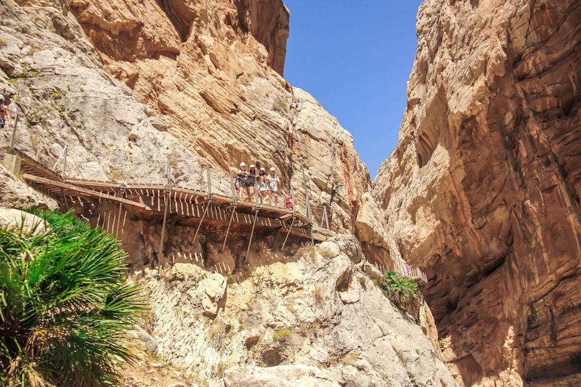 Picture 6 for Activity From Málaga: Day Trip to Caminito del Rey