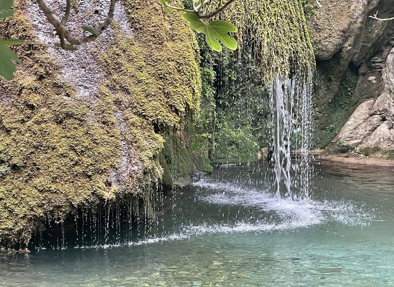 Picture 10 for Activity From Lasithi Area: Richtis Gorge Experience