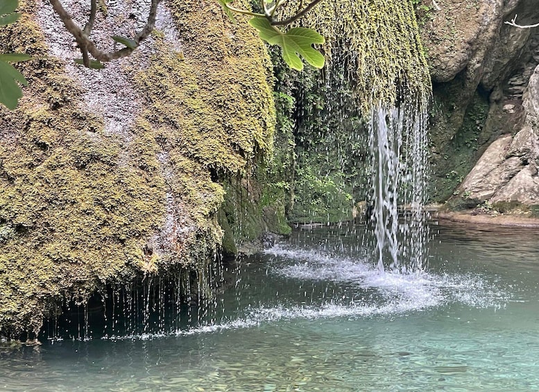 Picture 10 for Activity From Lasithi Area: Richtis Gorge Experience