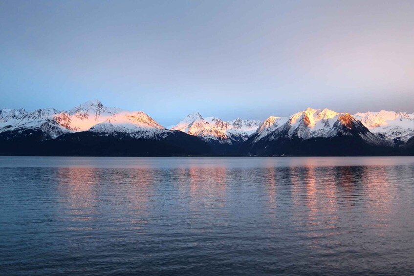 Picture 10 for Activity From Seward: Half-Day Resurrection Bay Wildlife Cruise Tour