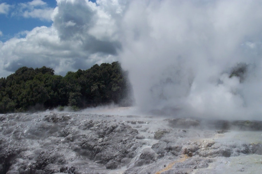 1-Day Rotorua Tour from Auckland with Options