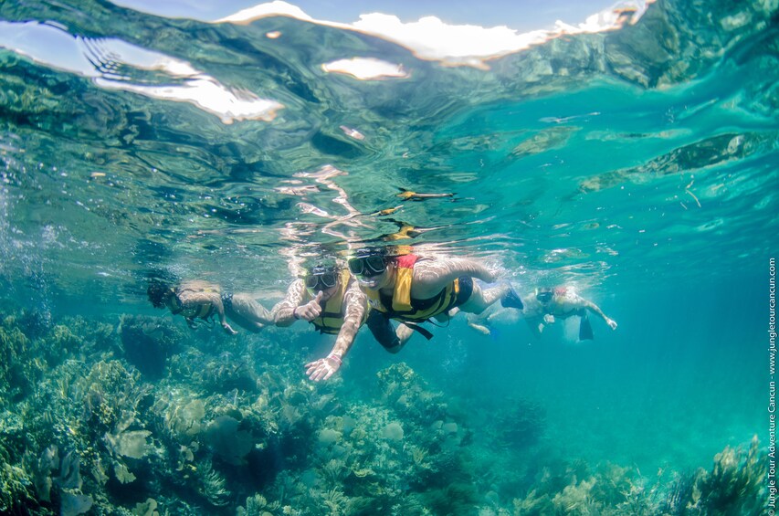 Jungle Tour Adventure: Speedboat & Snorkeling Tour 
