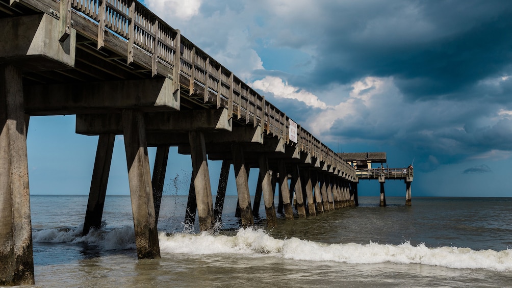 Tybee Island Dolphin Tour