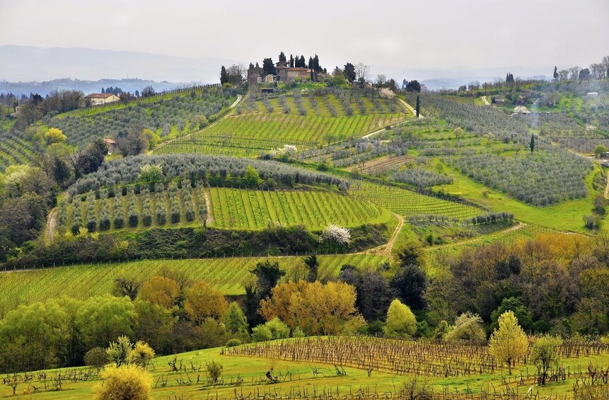 Tuscany By E-Bike from Florence