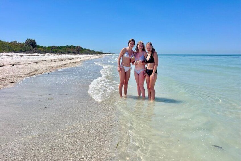 Gulf Barrier Island and Bottlenose Dolphin Tour