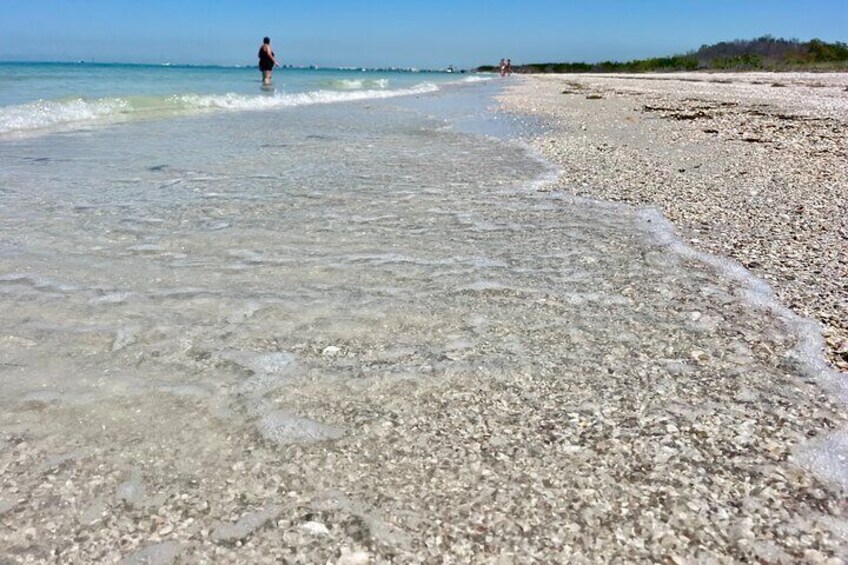 Gulf Barrier Island and Bottlenose Dolphin Tour