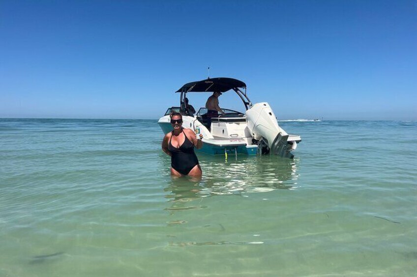 Gulf Barrier Island and Bottlenose Dolphin Tour
