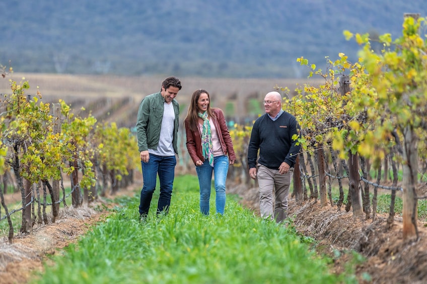 Hunter Valley Wine Cheese Tour in Small-Groups from Sydney