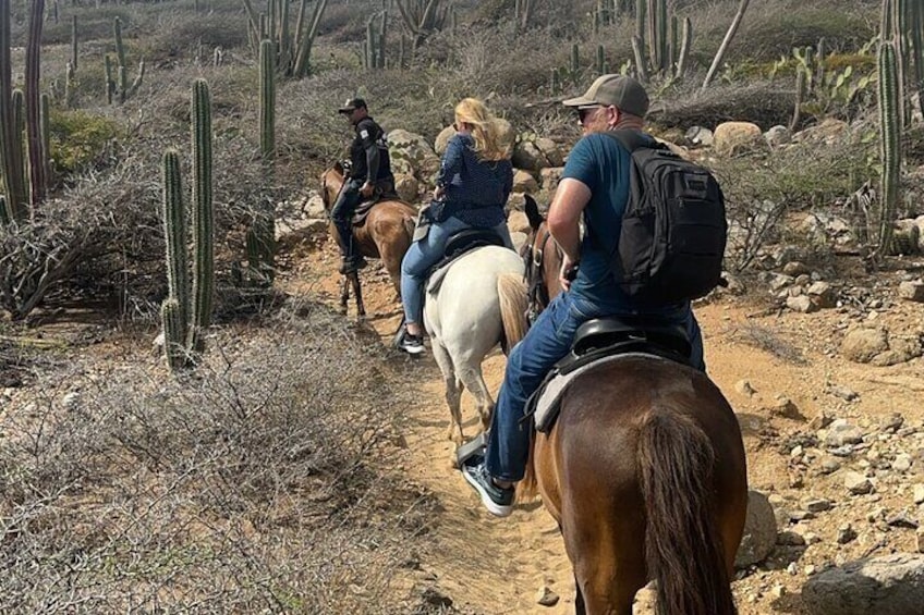 2-Hour Horseback Riding Tour to Little Natural Bridge in Aruba