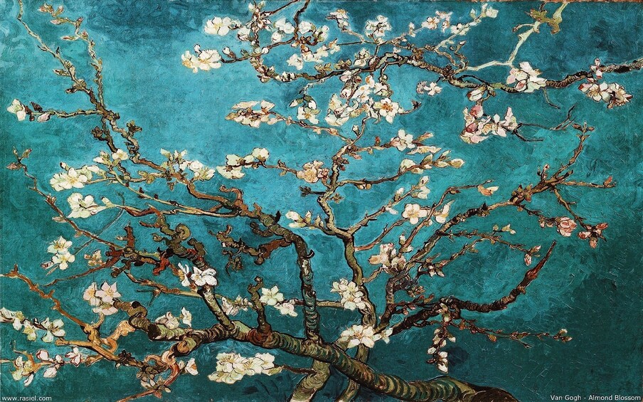 Skip-the-Line Van Gogh Museum PRIVATE TOUR with Expert Guide