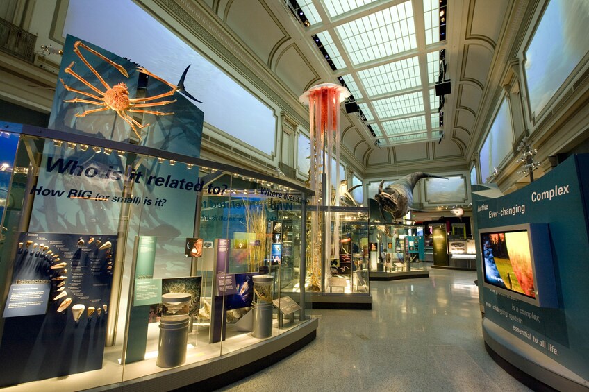 Combo Tour: Natural History + Air & Space