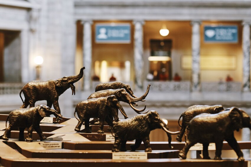 Wooly Mammoth figurines in the Museum of Natural History