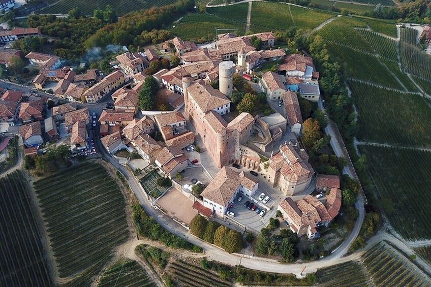 Truffle Hunting and Cheese, Truffle & Wine Tasting near Alba