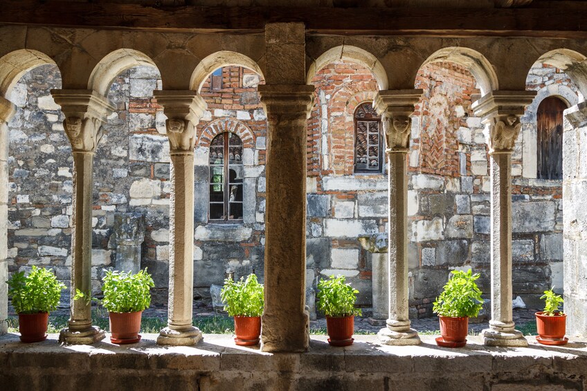 Apollonia e Ardenica from Durres/Tirane Small Group