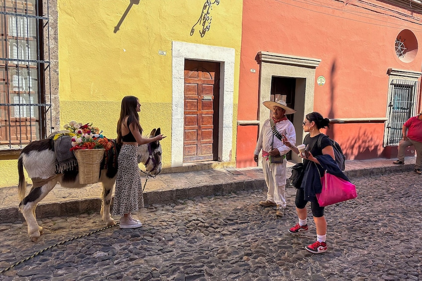 San Miguel de Allende day trip