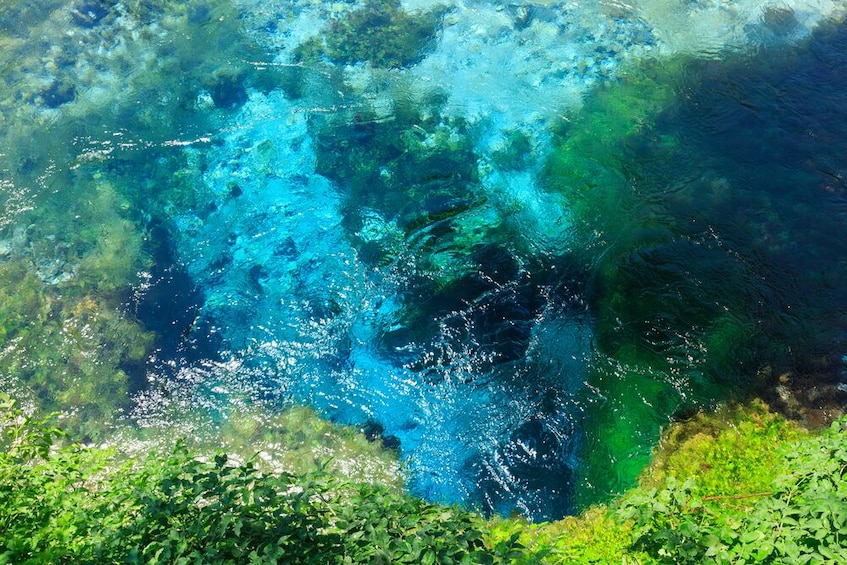 Day trip to the National Park of "Blue Eye" Small Group
