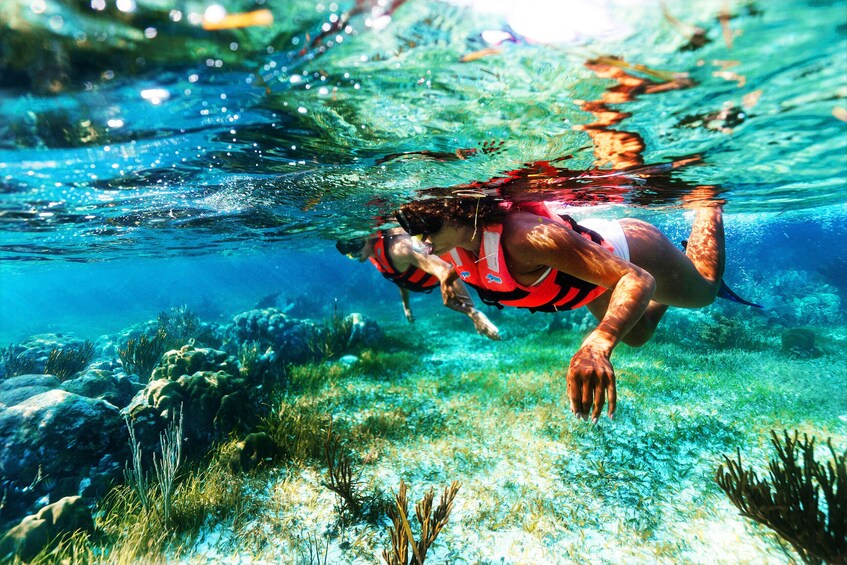 Reef Snorkeling in National Park from Cancun with Beachside Lunch