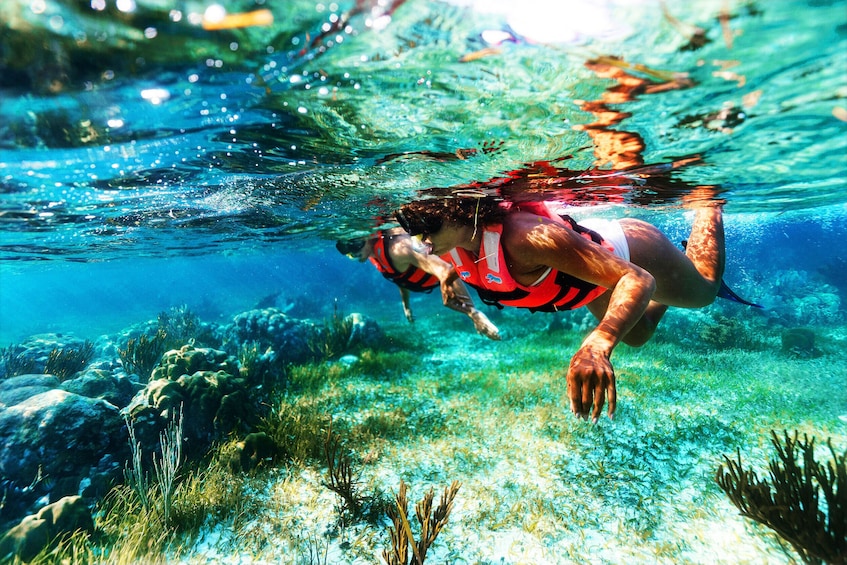 Reef Snorkeling in National Park from Cancun with Beachside Lunch
