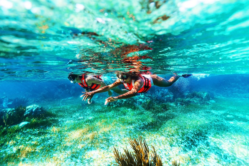 Reef Snorkeling in National Park from Cancun with Beachside Lunch