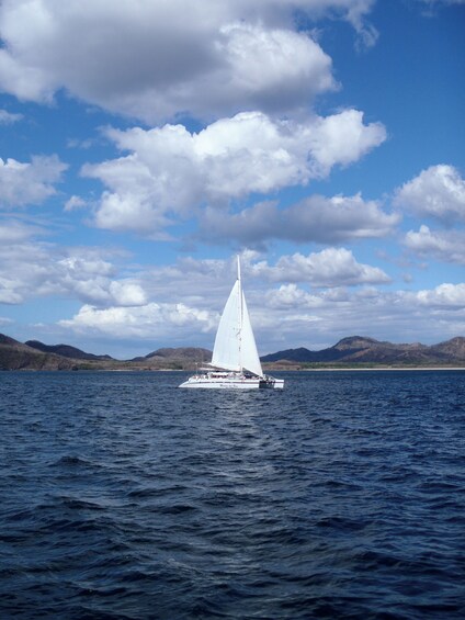 Marlin Del Rey Sunset Cruise from Tamarindo & Playas del Coco