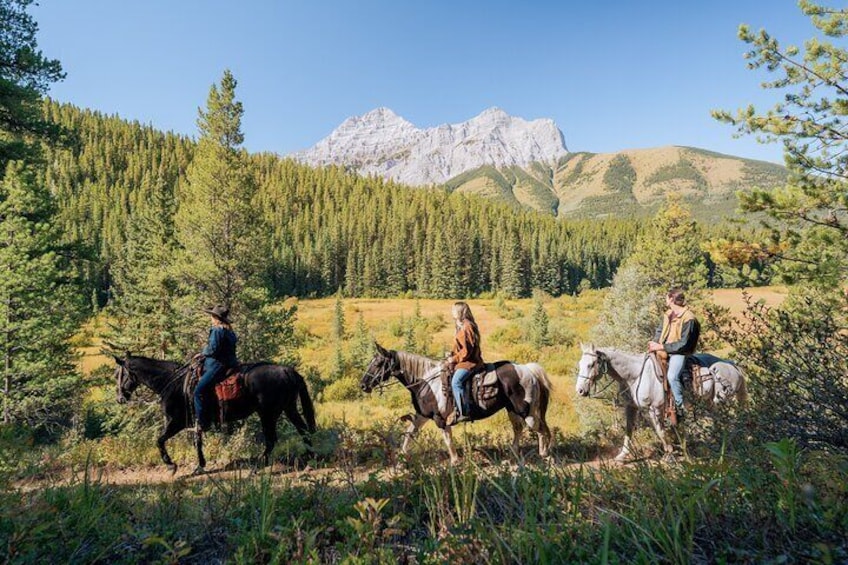 Valley Vista 1.5 Hour Trail Ride in Kananaskis - 11am 