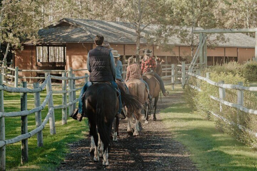 1.5-Hour Horseback Trail Ride in Kananaskis