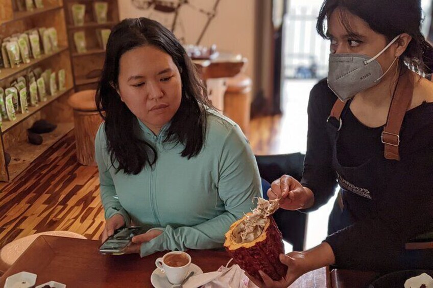 Checking out the Cacao bean