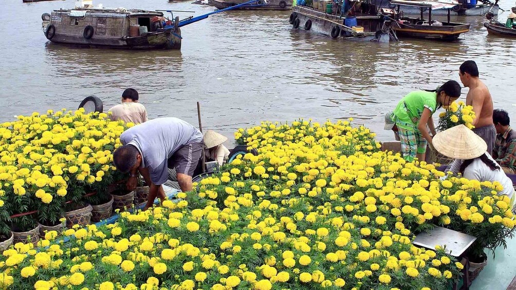 Beautiful yellow flowers sold at the Cai Be Floating Market

