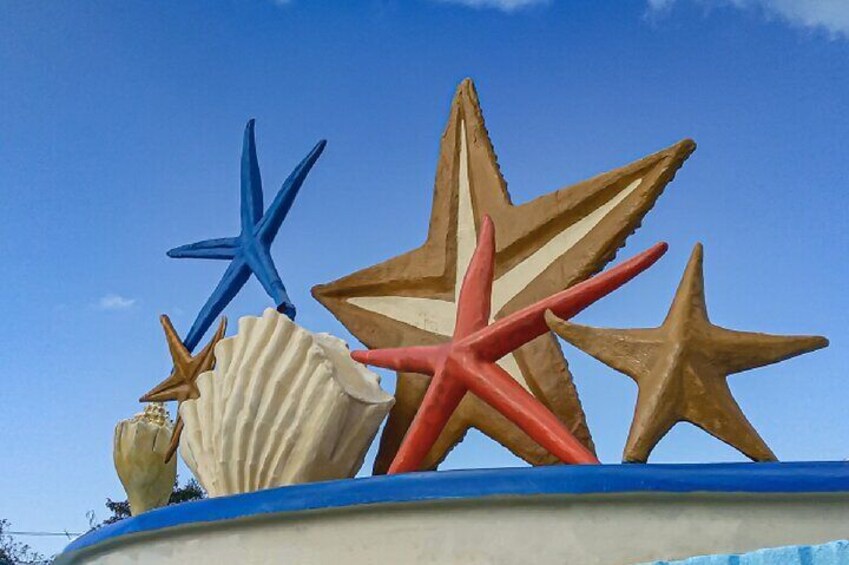 Cancun shopping Guided Tour and City Sightseeing
