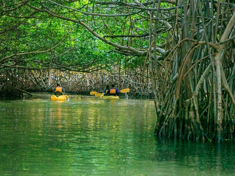 Bioluminescent Bay Night Kayaking Experience in Fajardo