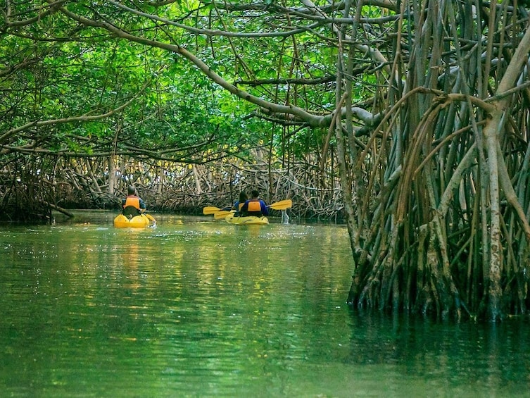 Bioluminescent Bay Night Kayaking Experience in Fajardo