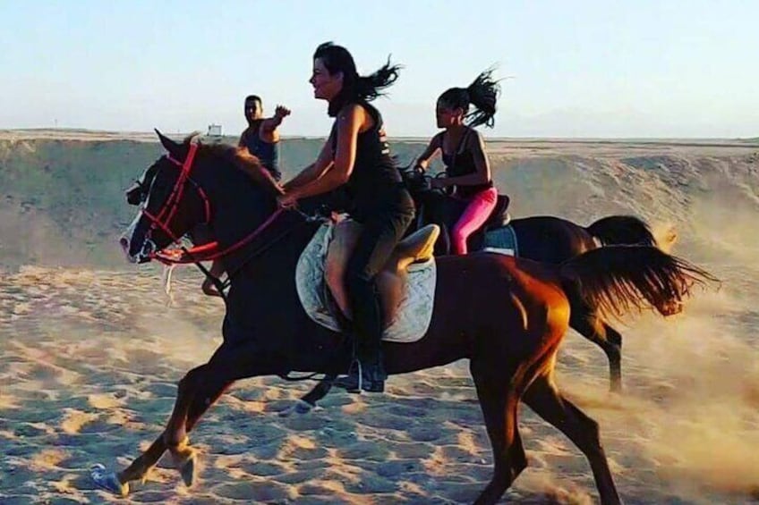 Horse Ride & Egyptian Show with Bedouin Dinner - Sharm El Sheikh
