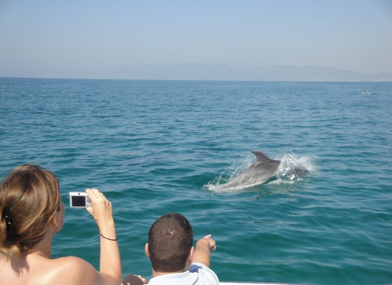 Picture 5 for Activity From Sesimbra: Arrábida Dolphin Watching Boat Tour