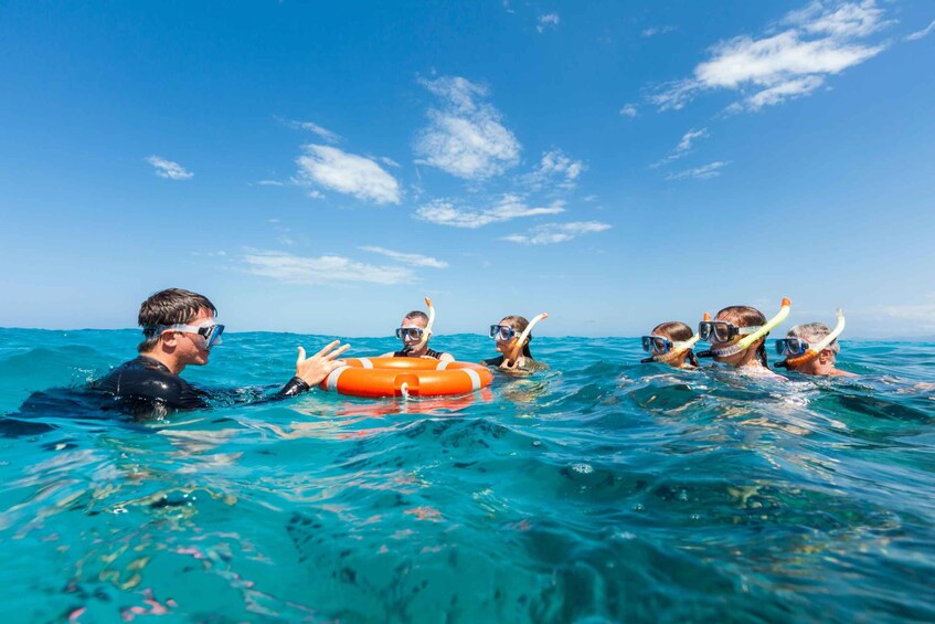 Picture 9 for Activity Cairns: Outer and Coral Cay Snorkel and Dive Cruise