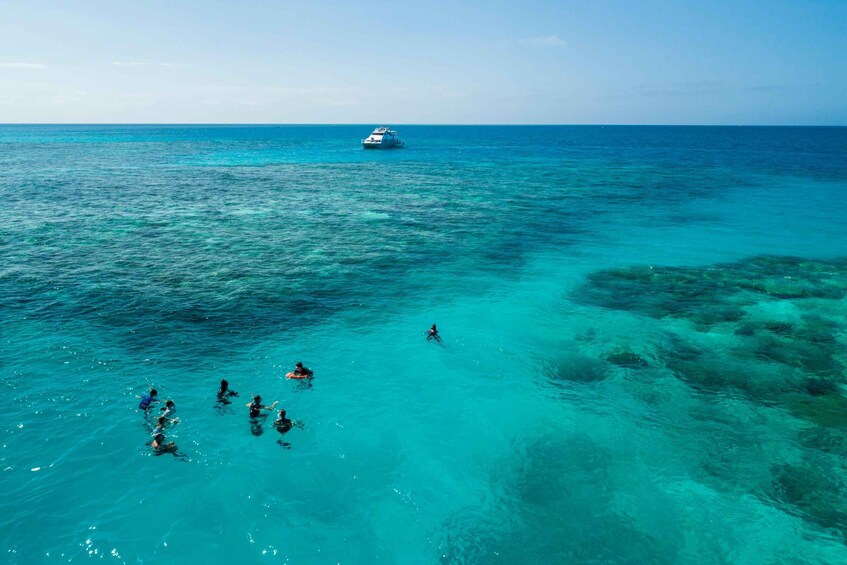 Picture 11 for Activity Cairns: Outer and Coral Cay Snorkel and Dive Cruise