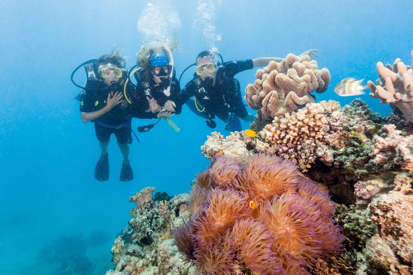 Picture 17 for Activity Cairns: Outer and Coral Cay Snorkel and Dive Cruise