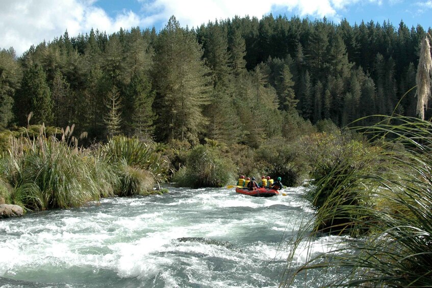 Picture 5 for Activity Rangitaiki Rafting Grade 3-4