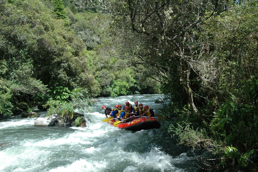 Picture 2 for Activity Rangitaiki Rafting Grade 3-4