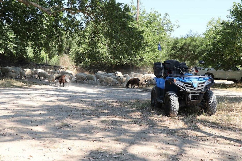 Picture 11 for Activity From Georgioupolis: Half-Day Quad ATV Safari
