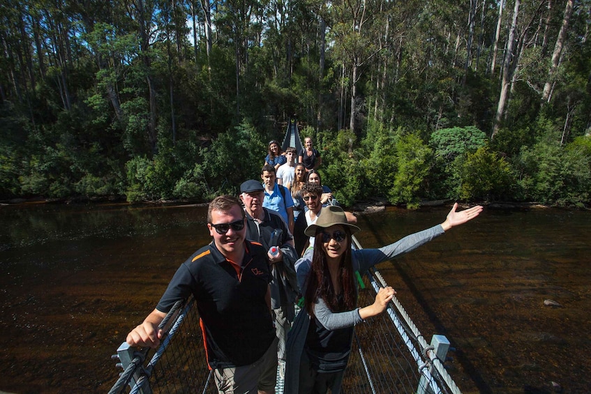 Picture 4 for Activity Hobart: Full-Day Tahune Airwalk & Hastings Caves Active Tour